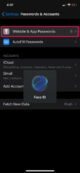 Iphone Saved Passwords